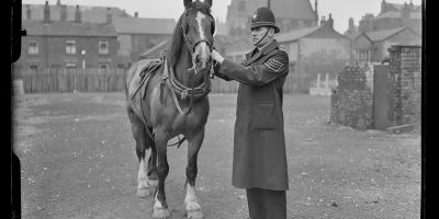 Horse and policeman standing among housing